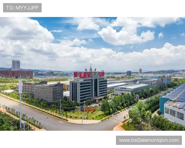 多宝视讯是哪里的公司，详细介绍其企业起源和发展历程