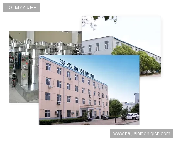 瑞丰乐投letou：客户服务体系与用户满意度提升方案