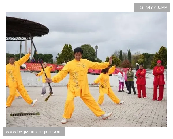 腾龙真人现场演出精彩瞬间回顾带你领略传统武术的魅力与文化底蕴